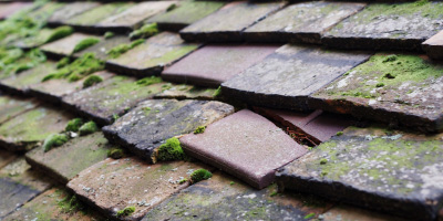 Rockwell End roof repair costs